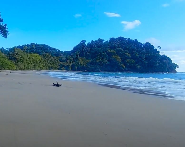 Manuel Antonio National Park: A Day In Paradise