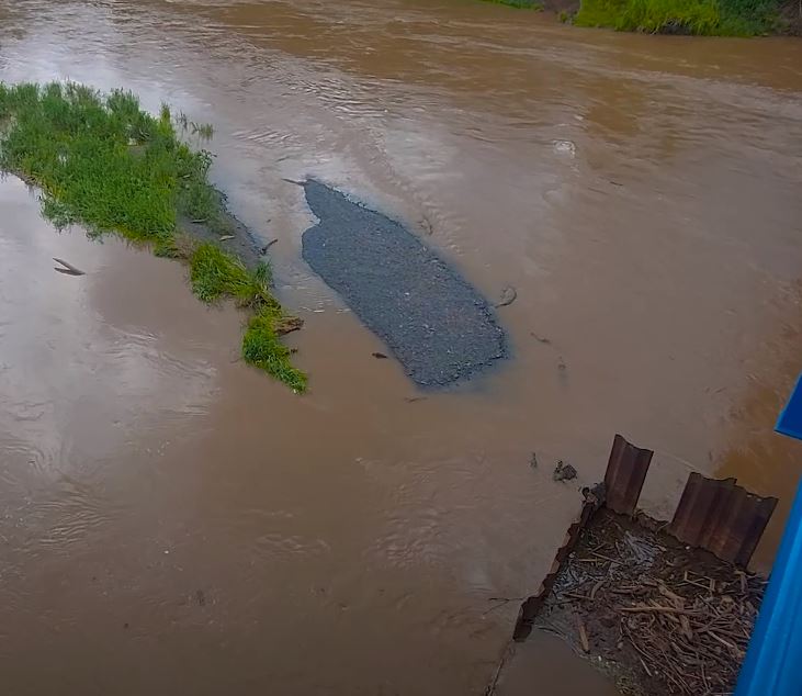 Crocodile Bridge: Spot Giants In Costa Rica