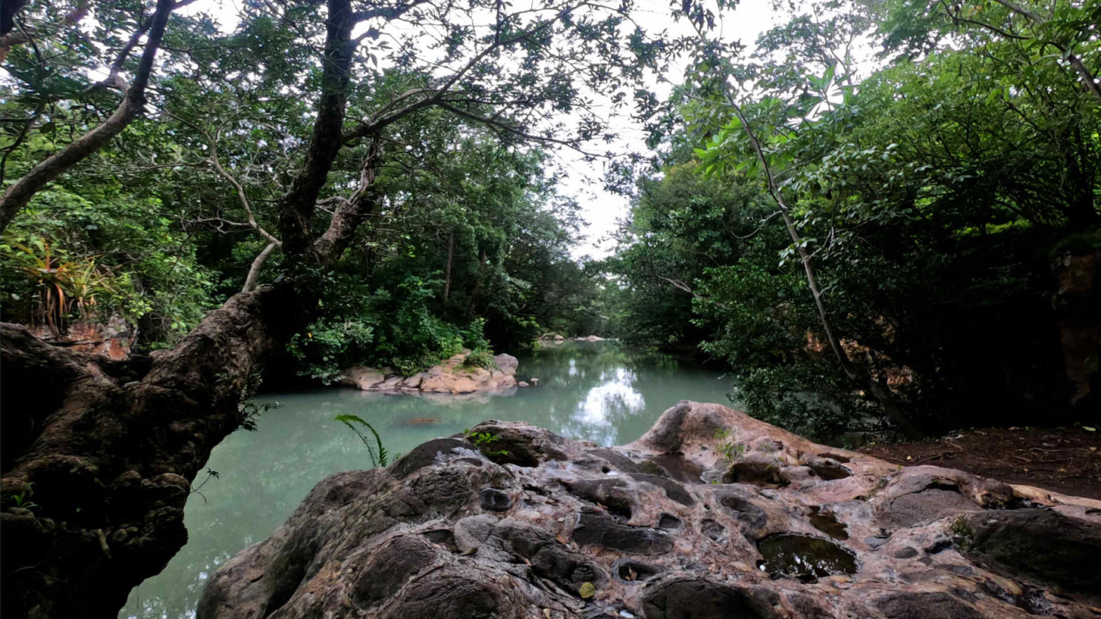 Poza Los Coyotes: A Hidden Oasis In Costa Rica