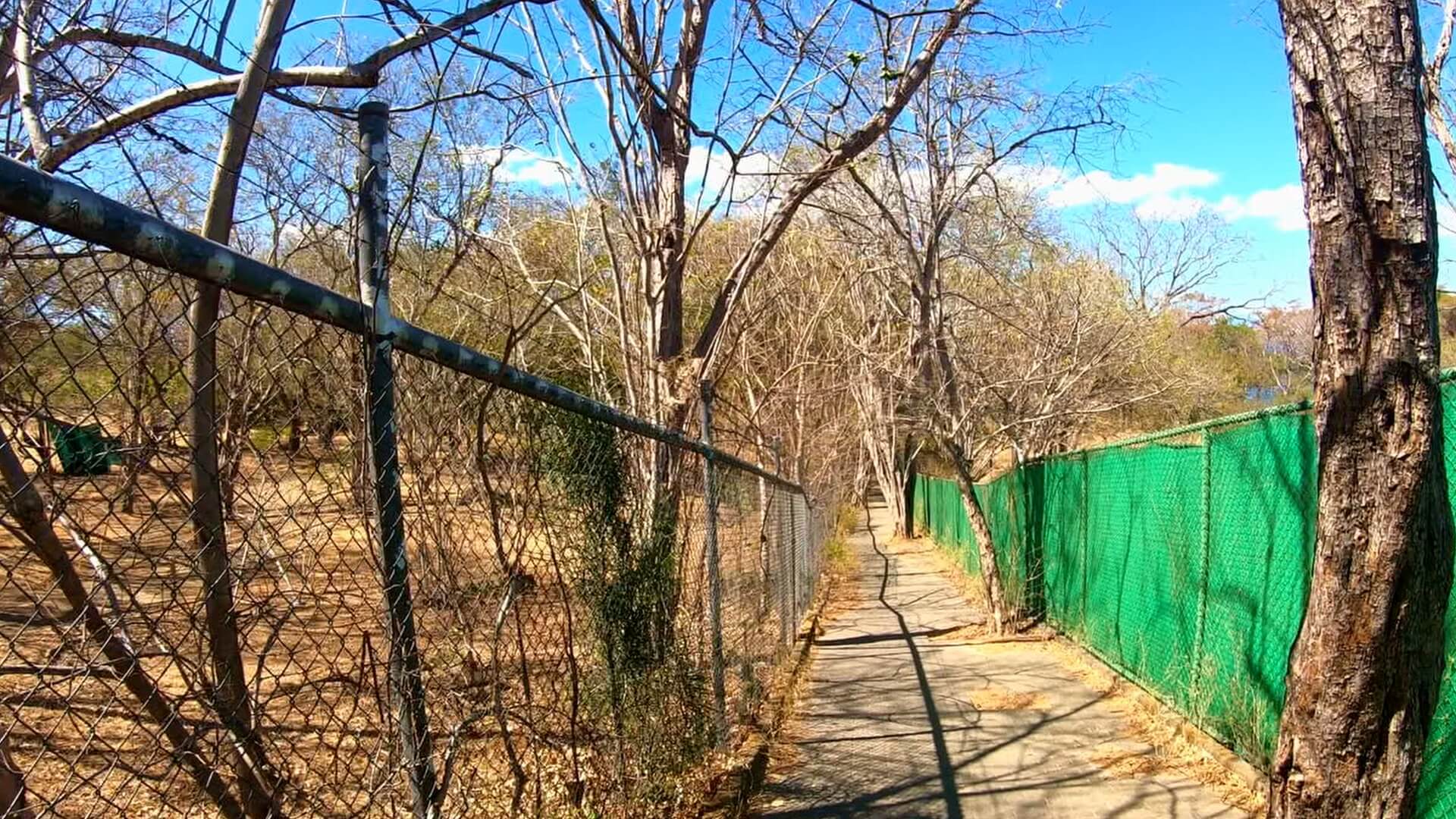 playa buena walking path
