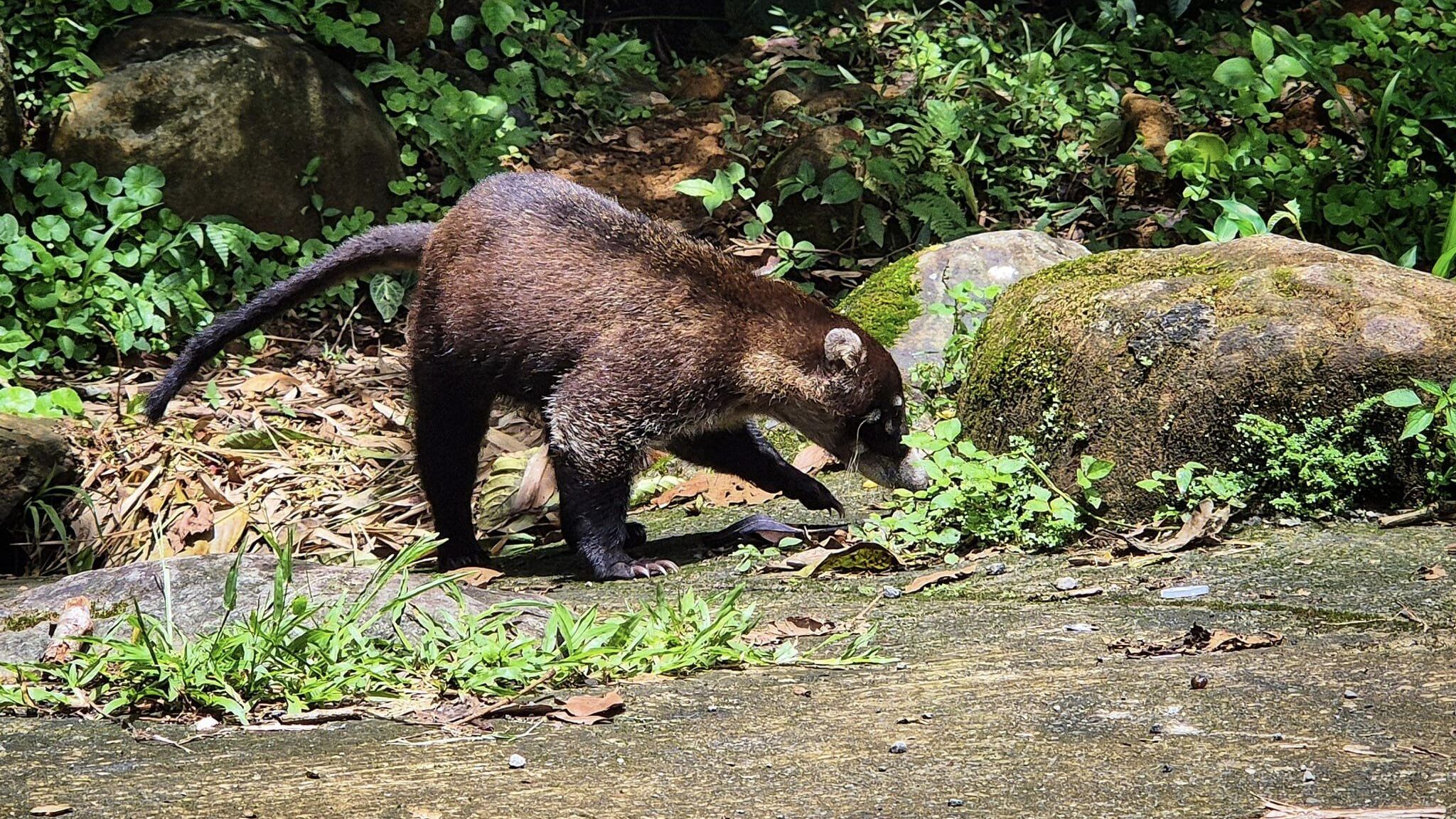 Trip Through Costa Rica: From The Beaches To The Mountains