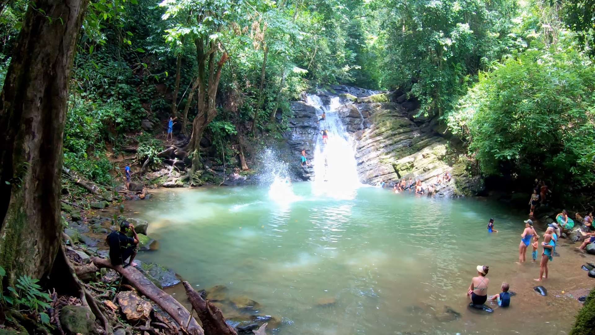 poza azul free swimming near dominical