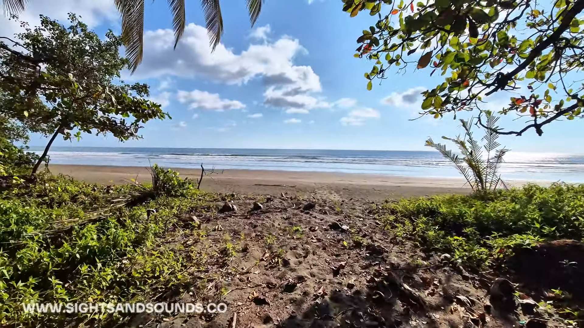 quiet beach near dominical