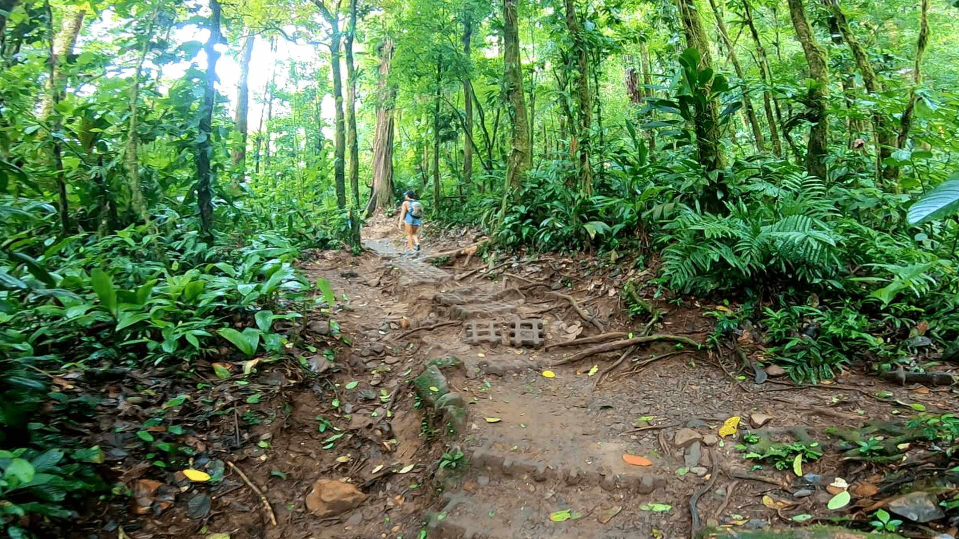 rough hike area rio celeste